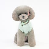 ドッグウェア 犬服 犬用ウェア | PlusNao | 詳細画像5