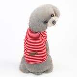 ドッグウェア 犬服 犬用ウェア | PlusNao | 詳細画像9