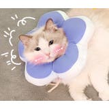 エリザベスカラー ソフトカラー クッション | PlusNao | 詳細画像4 
