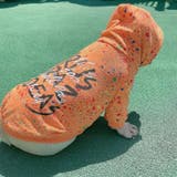 ドッグウェア ペットウェア パーカー | PlusNao | 詳細画像11 