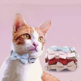 ペット用首輪 猫 犬 | PlusNao | 詳細画像2 