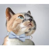 ペット用首輪 猫 犬 | PlusNao | 詳細画像3 