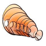 エリザベスカラー 犬用 猫用 | PlusNao | 詳細画像6