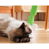 ペット用ブラシ 猫 犬 | PlusNao | 詳細画像3 