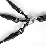 ペット用 3頭引きリード 犬用 | PlusNao | 詳細画像7 