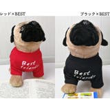 ペットウェア Tシャツ 犬服 | PlusNao | 詳細画像11 