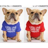 ペットウェア Tシャツ 犬服 | PlusNao | 詳細画像15 