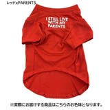 ペットウェア Tシャツ 犬服 | PlusNao | 詳細画像16 