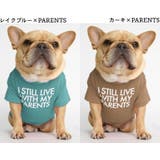 ペットウェア Tシャツ 犬服 | PlusNao | 詳細画像17 