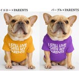 ペットウェア Tシャツ 犬服 | PlusNao | 詳細画像18 