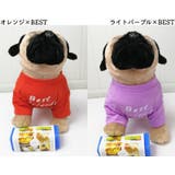 ペットウェア Tシャツ 犬服 | PlusNao | 詳細画像8 
