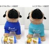 ペットウェア Tシャツ 犬服 | PlusNao | 詳細画像9 
