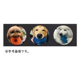 犬用おもちゃ ラバートイ ペット用品 | PlusNao | 詳細画像3 