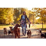 リード リーシュコード スタンダードリード | PlusNao | 詳細画像3