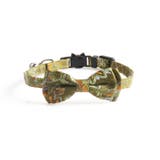 猫用首輪 セーフティバックル CATカラー | PlusNao | 詳細画像4 