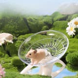 回し車 ハムスター 小動物 | PlusNao | 詳細画像4 