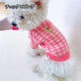 ペットウェア ペット服 犬 | PlusNao | 詳細画像17 
