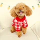 ペットウェア ペット服 犬 | PlusNao | 詳細画像3 