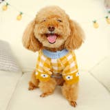 ペットウェア ペット服 犬 | PlusNao | 詳細画像4 