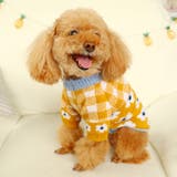 ペットウェア ペット服 犬 | PlusNao | 詳細画像5 