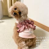 【ギンガムリボンタンクトップ】犬 服 犬服 | PlusNao | 詳細画像12 