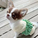 【ギンガムリボンタンクトップ】犬 服 犬服 | PlusNao | 詳細画像15 