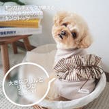 【ギンガムリボンタンクトップ】犬 服 犬服 | PlusNao | 詳細画像2 