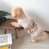 【ギンガムリボンタンクトップ】犬 服 犬服 | PlusNao | 詳細画像4 