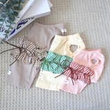 【ギンガムリボンタンクトップ】犬 服 犬服 | PlusNao | 詳細画像6 