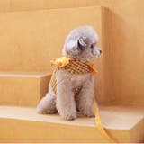 【ギンガムチェックハーネス&リード】ハーネス リード 2点セット | PlusNao | 詳細画像14 