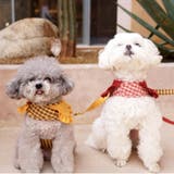 【ギンガムチェックハーネス&リード】ハーネス リード 2点セット | PlusNao | 詳細画像15 