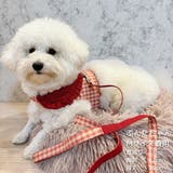 【ギンガムチェックハーネス&リード】ハーネス リード 2点セット | PlusNao | 詳細画像18 