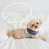 【ギンガムチェックハーネス&リード】ハーネス リード 2点セット | PlusNao | 詳細画像2 