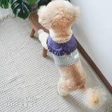 【ギンガムチェックハーネス&リード】ハーネス リード 2点セット | PlusNao | 詳細画像3 