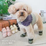 【メッシュドッグシューズ】犬 靴 脱げない | PlusNao | 詳細画像10 