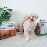 【メッシュドッグシューズ】犬 靴 脱げない | PlusNao | 詳細画像11 