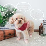 【メッシュドッグシューズ】犬 靴 脱げない | PlusNao | 詳細画像2 