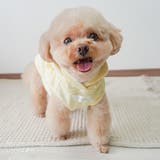 【くま耳フードタンクトップ】S M L | PlusNao | 詳細画像12 