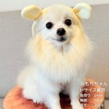 【くま耳フードタンクトップ】S M L | PlusNao | 詳細画像19 