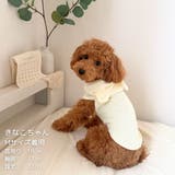 【くま耳フードタンクトップ】S M L | PlusNao | 詳細画像20 