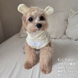 【くま耳フードタンクトップ】S M L | PlusNao | 詳細画像21 