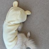 【くま耳フードタンクトップ】S M L | PlusNao | 詳細画像24 