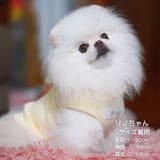 【くま耳フードタンクトップ】S M L | PlusNao | 詳細画像26 