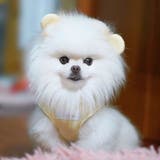 【くま耳フードタンクトップ】S M L | PlusNao | 詳細画像27 