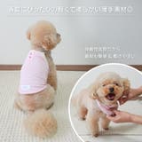 【ピンクボタンキャミソール】S M L | PlusNao | 詳細画像3