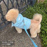 【ナイロンポケットハーネス リードセット】ハーネス リード | PlusNao | 詳細画像10 