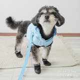 【ナイロンポケットハーネス リードセット】ハーネス リード | PlusNao | 詳細画像12 