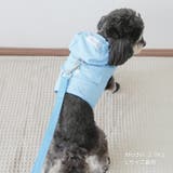 【ナイロンポケットハーネス リードセット】ハーネス リード | PlusNao | 詳細画像13 