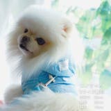 【ナイロンポケットハーネス リードセット】ハーネス リード | PlusNao | 詳細画像20 