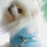 【ナイロンポケットハーネス リードセット】ハーネス リード | PlusNao | 詳細画像21 